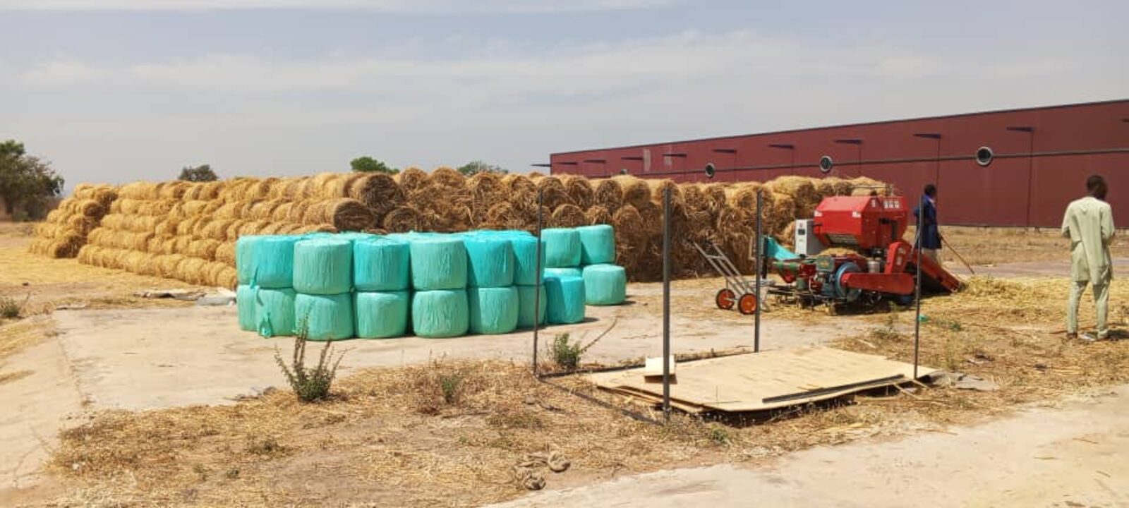 Fodder and silage production supporting the Model Integrated Farm